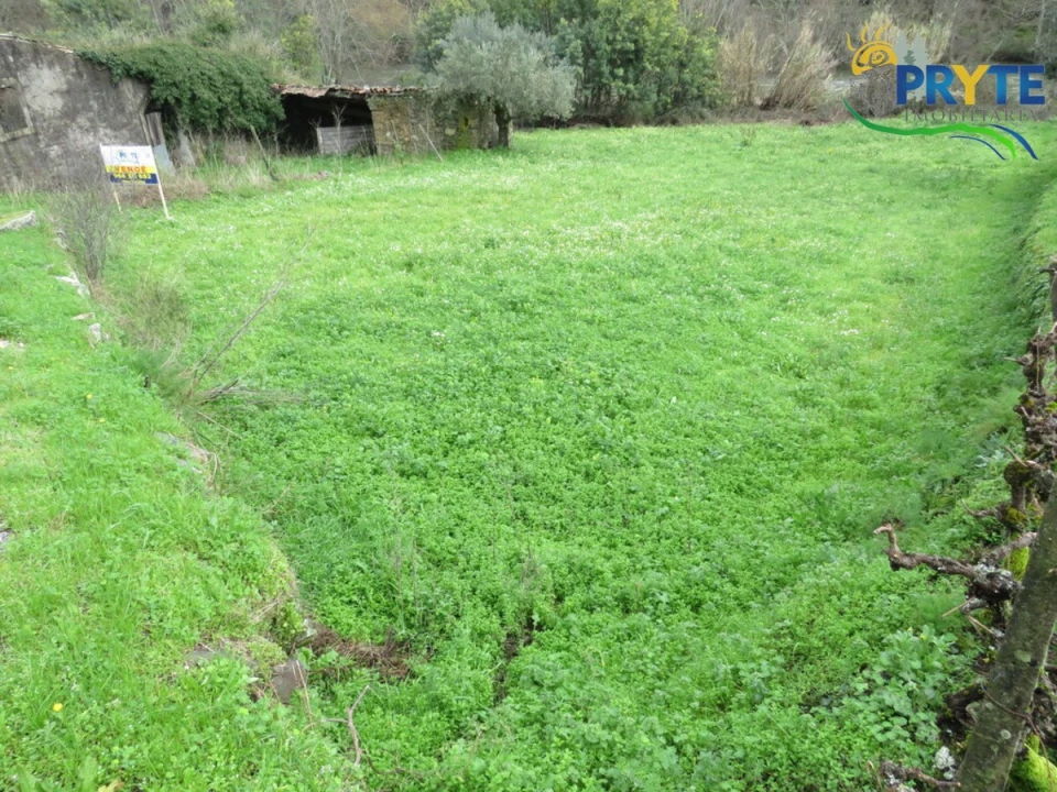 Terreno para Venda em Sertã Foto 5