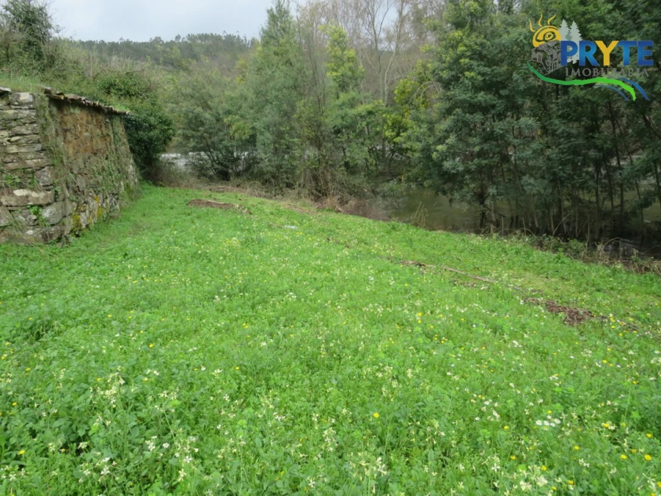 Terreno para Venda em Sertã Foto 9