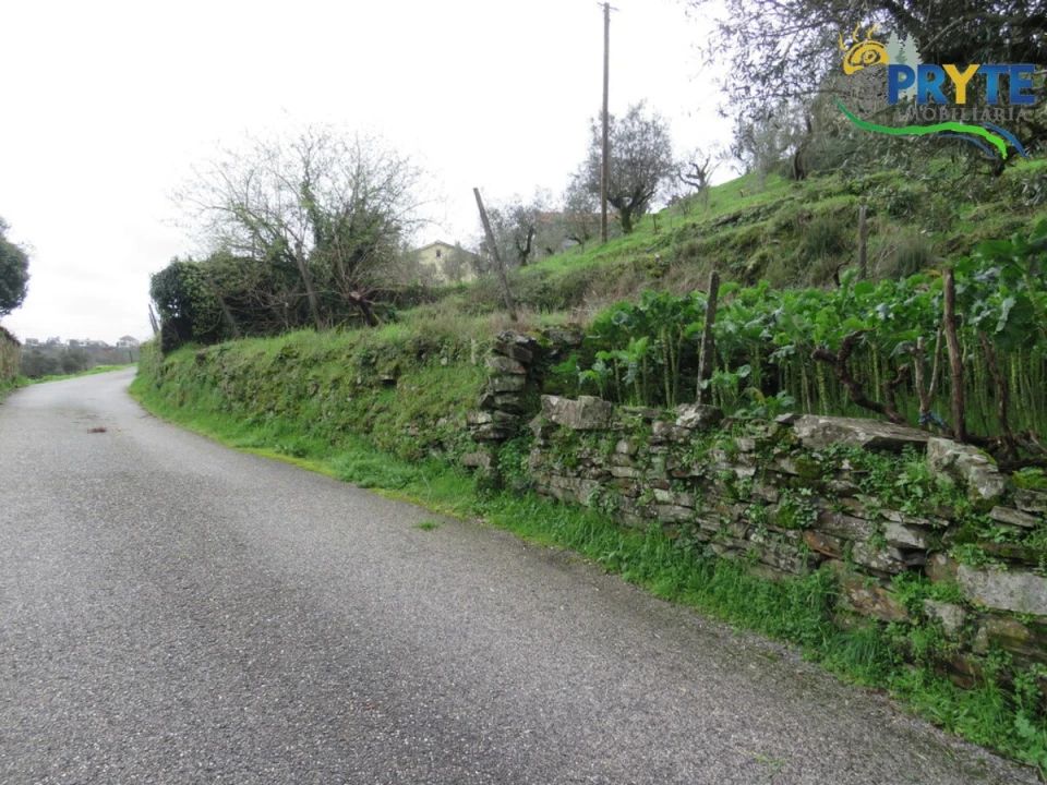 Terreno para Venda em Sertã Foto 22