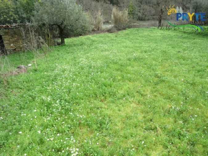 Terreno para Venda em Sertã Foto 7