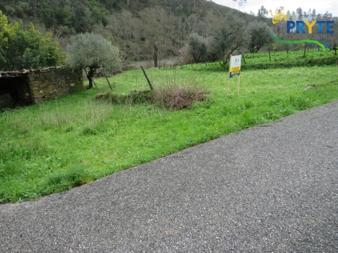 Terreno para Venda em Sertã Foto 8
