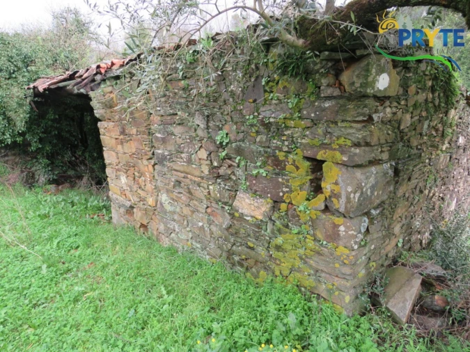 Terreno para Venda em Sertã Foto 13