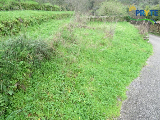 Terreno para Venda em Sertã Foto 21