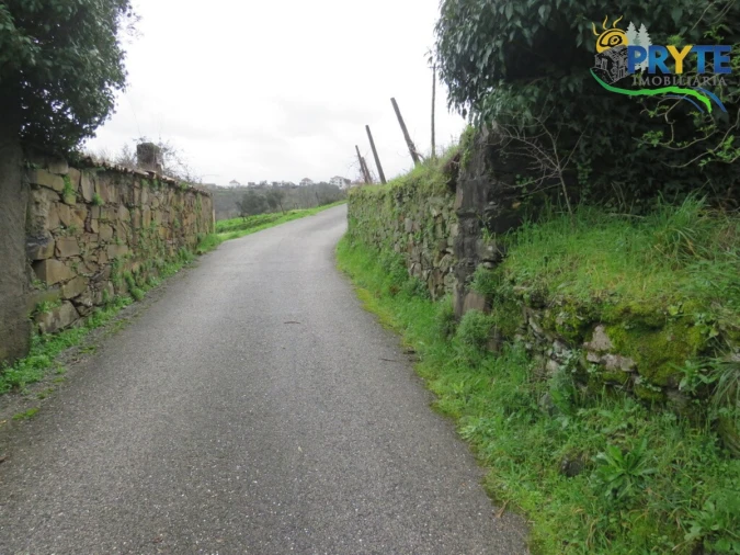 Terreno para Venda em Sertã Foto 23