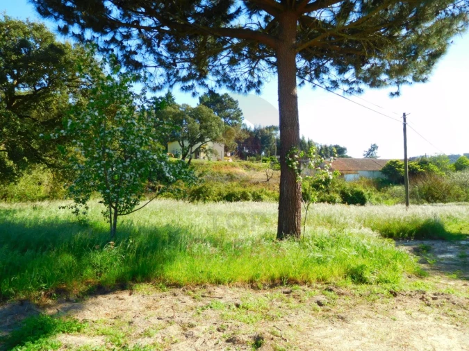 Terreno para Venda em Nadadouro Foto 5