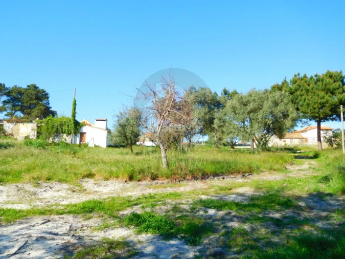 Terreno para Venda em Nadadouro Foto 4