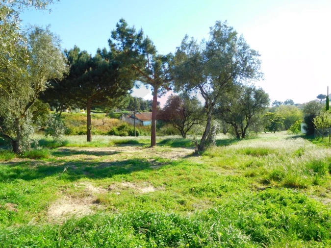 Terreno para Venda em Nadadouro Foto 1