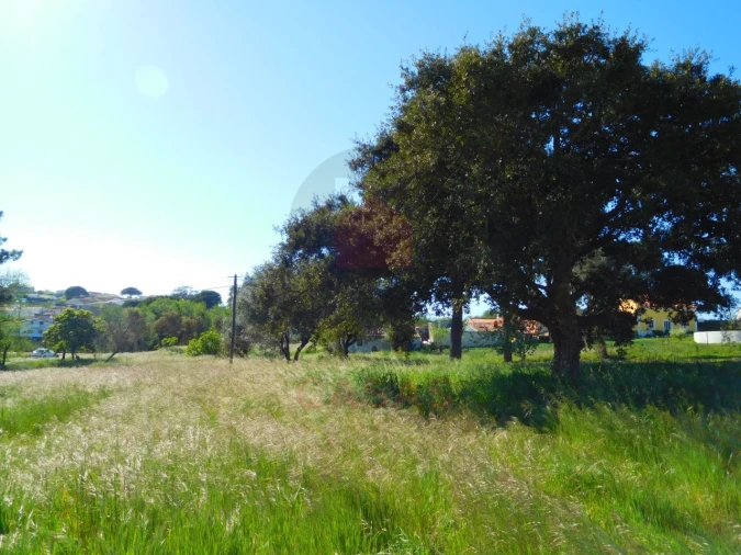 Terreno para Venda em Nadadouro Foto 3