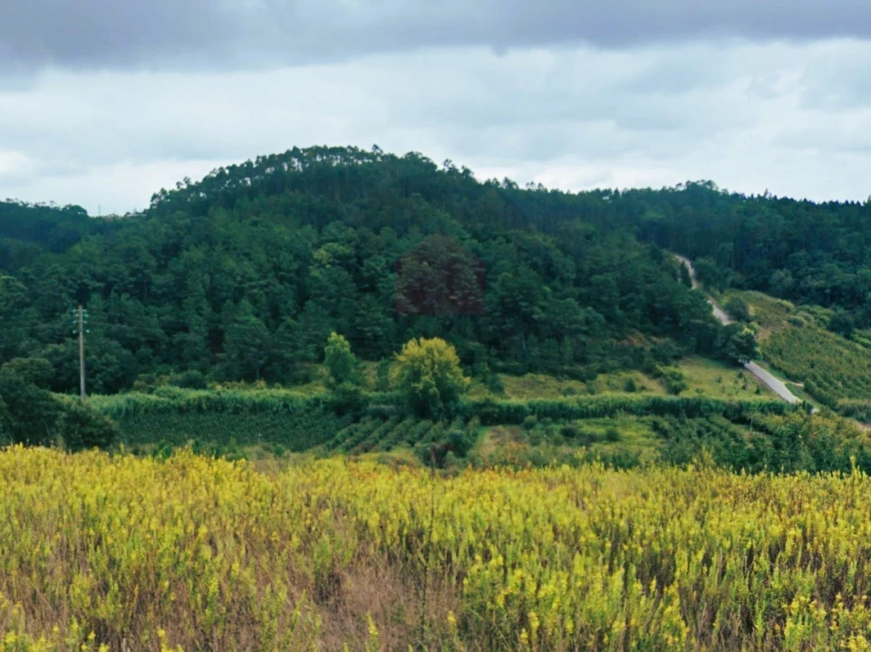 Terreno para Venda em Salir de Matos Foto 2