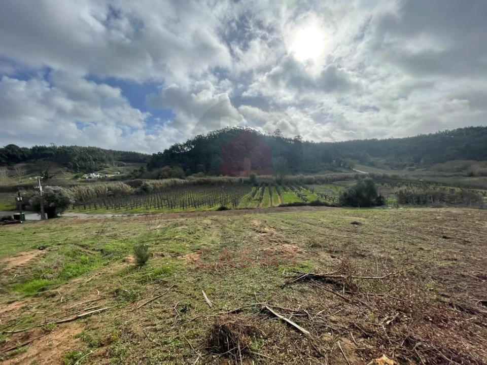 Terreno para Venda em Salir de Matos Foto 6