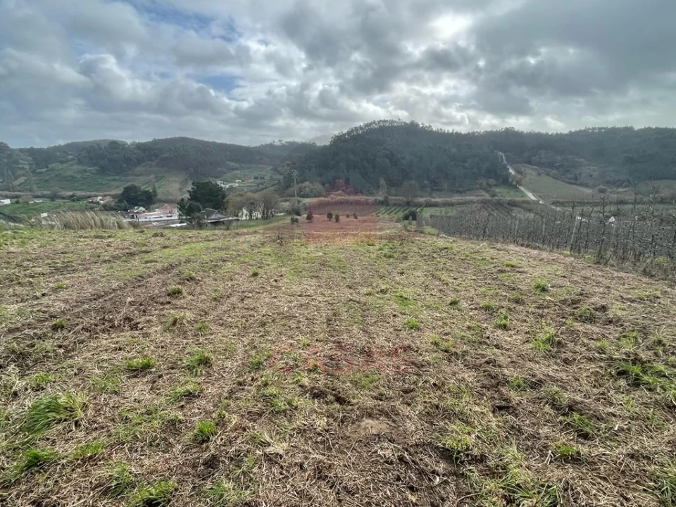 Terreno para Venda em Salir de Matos Foto 9