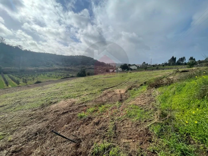 Terreno para Venda em Salir de Matos Foto 5