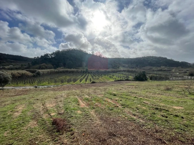Terreno para Venda em Salir de Matos Foto 8