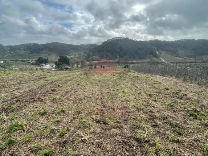 Terreno para Venda em Salir de Matos Foto 9
