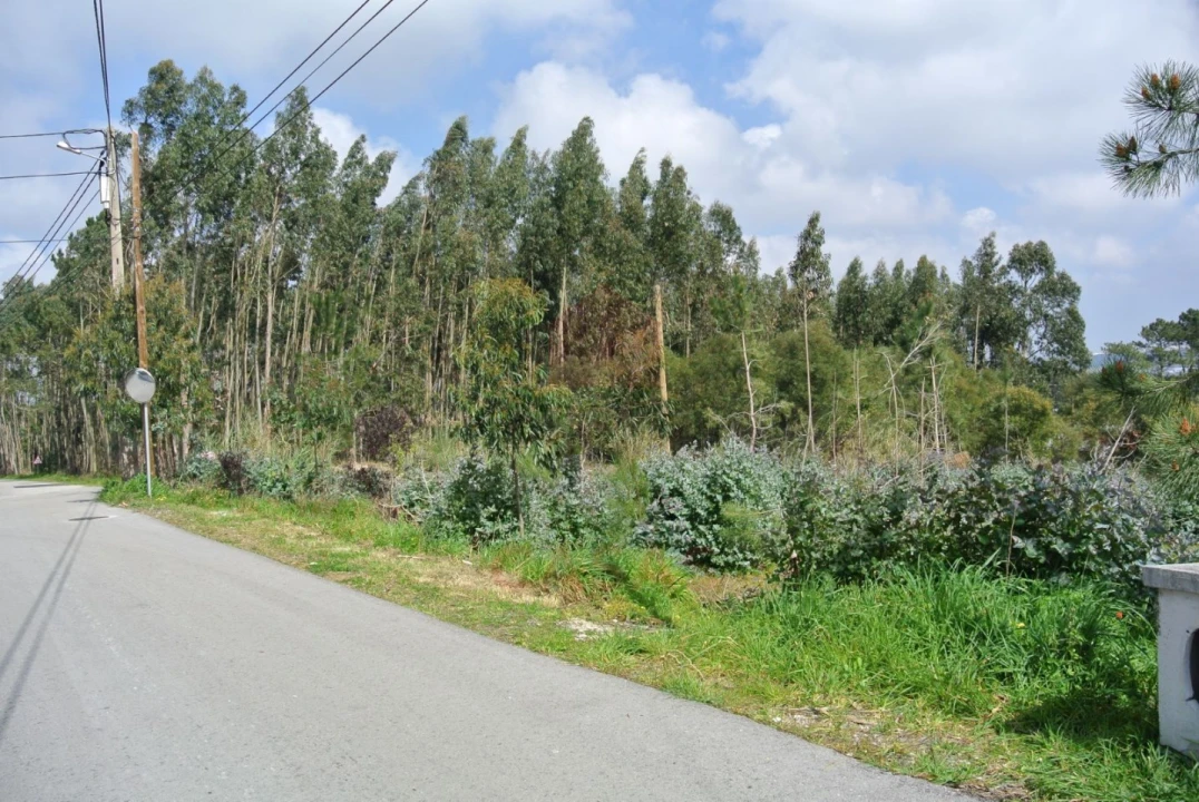 Terreno para Venda em Nadadouro Foto 4