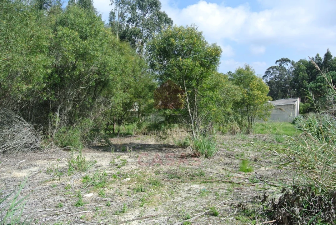 Terreno para Venda em Nadadouro Foto 5