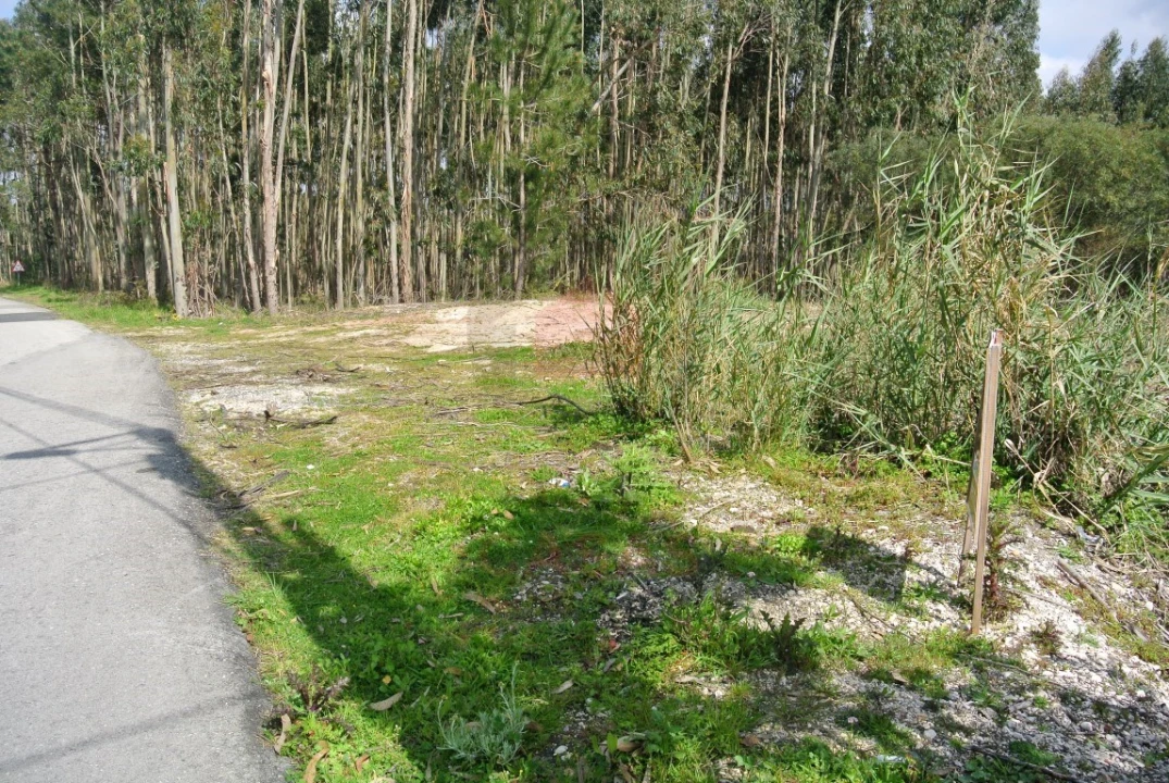 Terreno para Venda em Nadadouro Foto 1