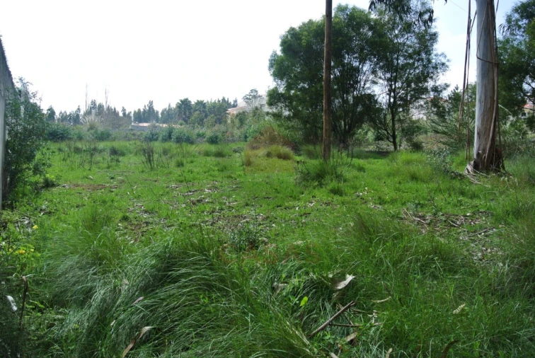 Terreno para Venda em Nadadouro Foto 3