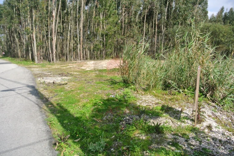 Terreno para Venda em Nadadouro