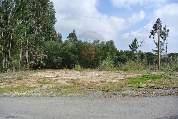 Terreno para Venda em Nadadouro Foto 6