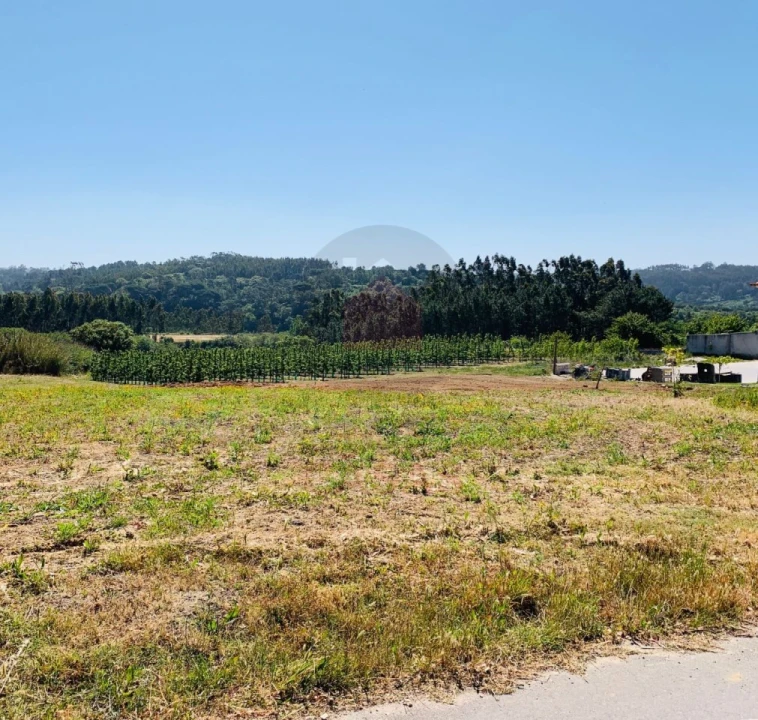Terreno para Venda em Salir de Matos Foto 2