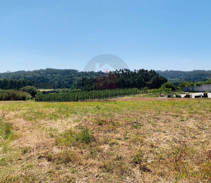 Terreno para Venda em Salir de Matos Foto 1