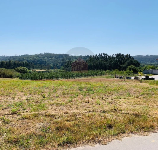 Terreno para Venda em Salir de Matos Foto 2