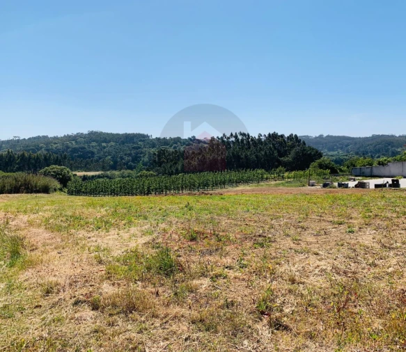 Terreno para Venda em Salir de Matos Foto 1