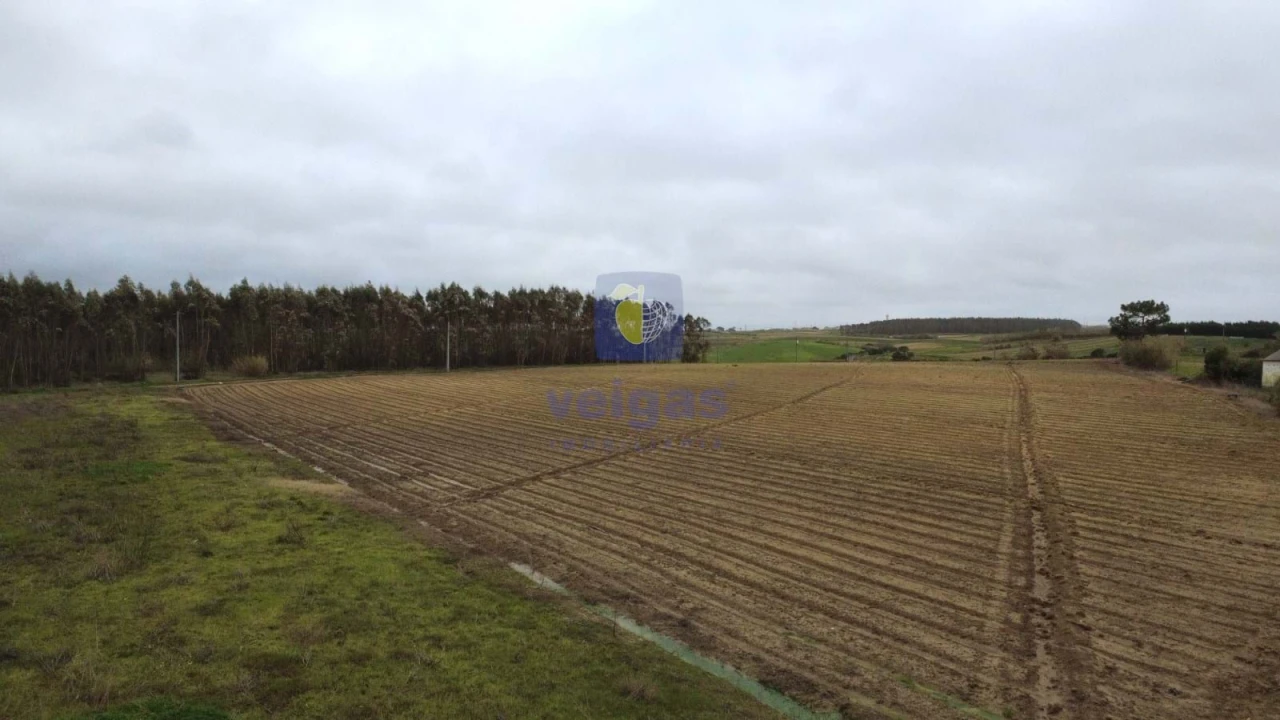 Terreno Agricola ou Rústico para Venda em Atouguia da Baleia Foto 14