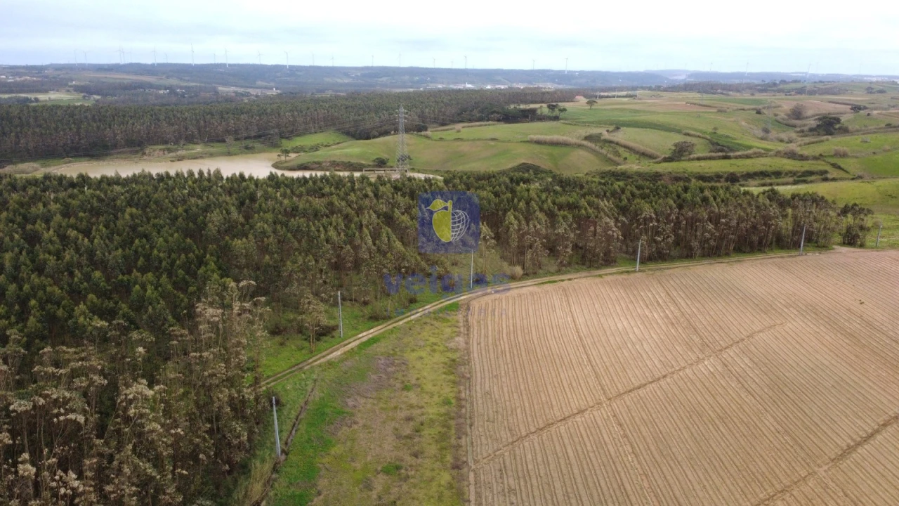 Terreno Agricola ou Rústico para Venda em Atouguia da Baleia Foto 6