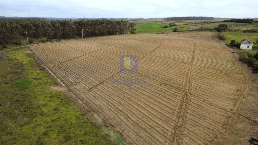 Terreno Agricola ou Rústico para Venda em Atouguia da Baleia Foto 2