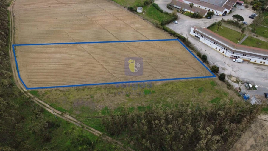 Terreno Agricola ou Rústico para Venda em Atouguia da Baleia Foto 1
