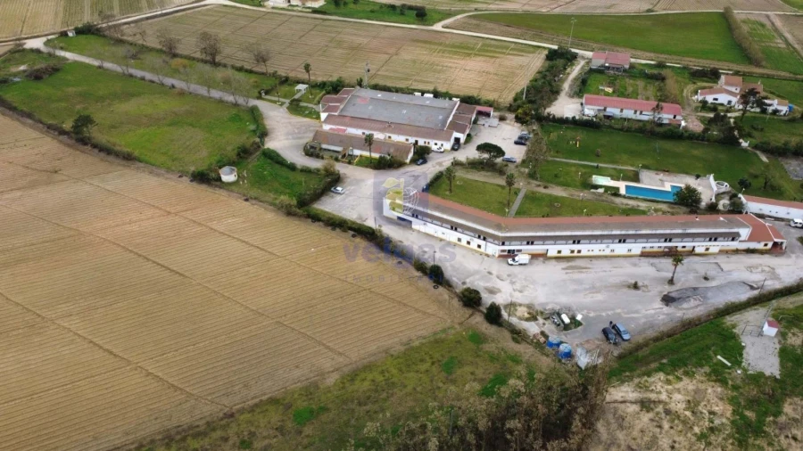 Terreno Agricola ou Rústico para Venda em Atouguia da Baleia Foto 10