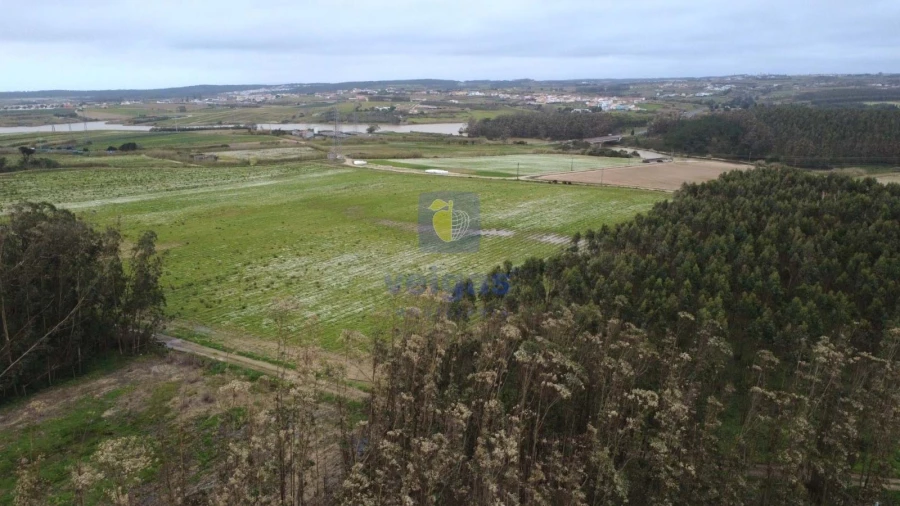 Terreno Agricola ou Rústico para Venda em Atouguia da Baleia Foto 7