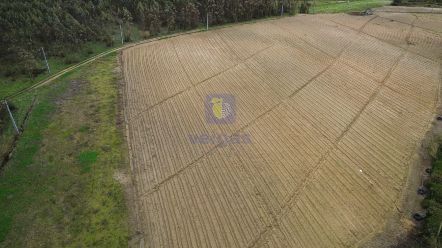 Terreno Agricola ou Rústico para Venda em Atouguia da Baleia Foto 5