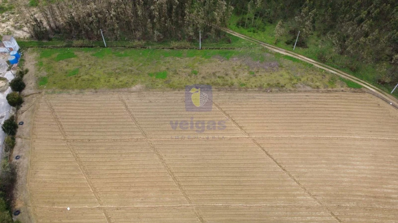 Terreno Agricola ou Rústico para Venda em Atouguia da Baleia Foto 13