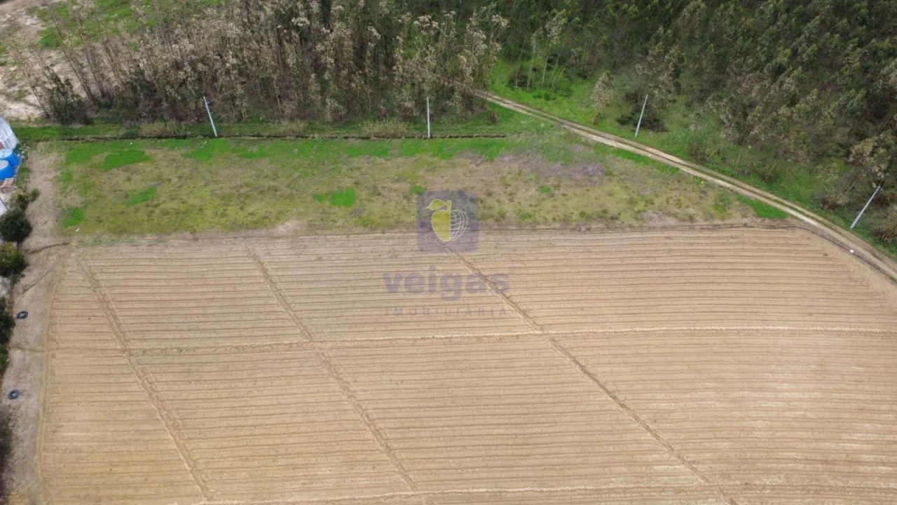 Terreno Agricola ou Rústico para Venda em Atouguia da Baleia Foto 11