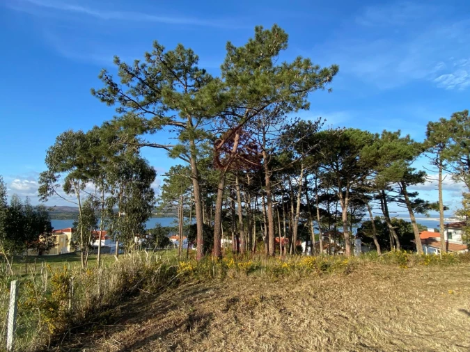 Terreno para Venda em Nadadouro Foto 3