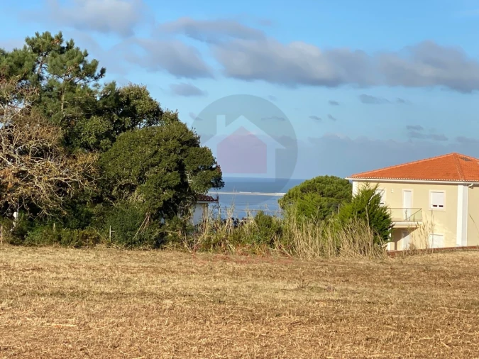 Terreno para Venda em Nadadouro Foto 4