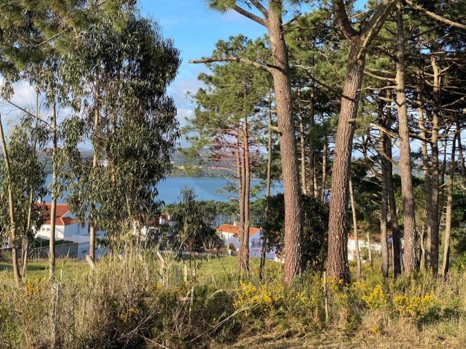 Terreno para Venda em Nadadouro Foto 16