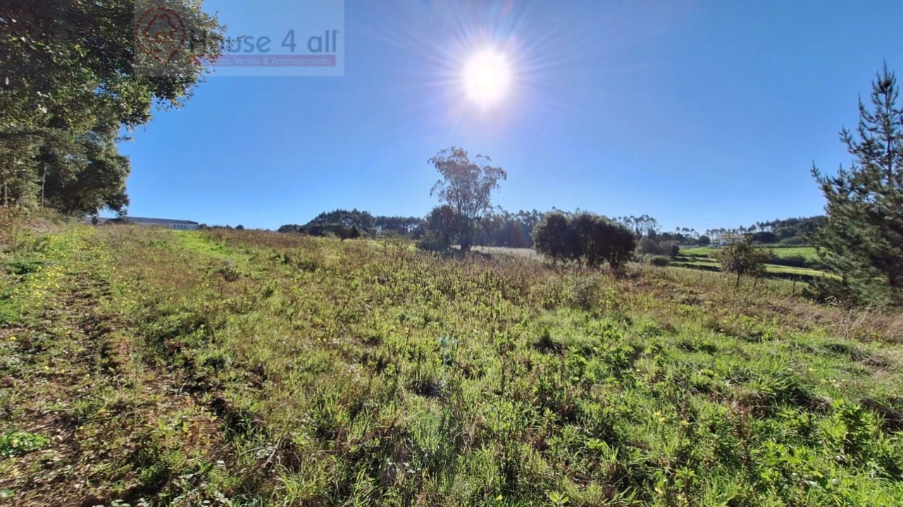 Terreno para Venda em Alfeizerão Foto 6