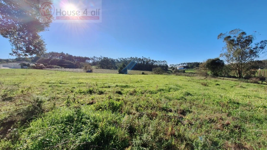 Terreno para Venda em Alfeizerão Foto 2