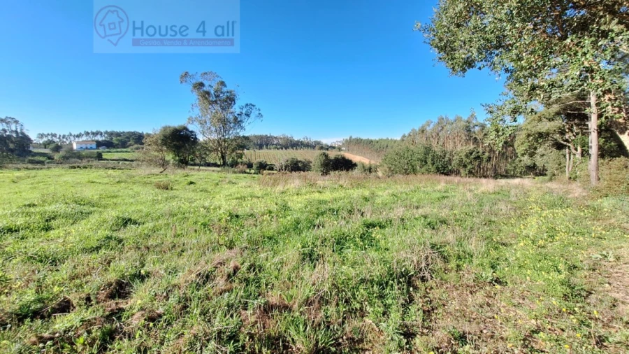 Terreno para Venda em Alfeizerão Foto 4