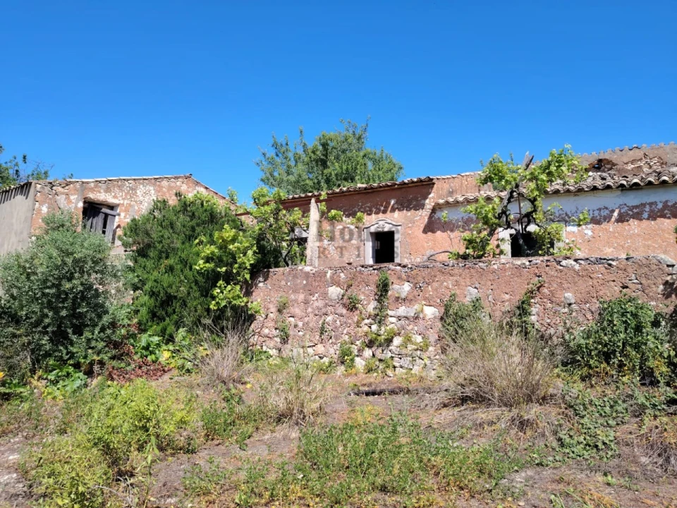 Terreno para Venda em Loule (São Clemente) Foto 5