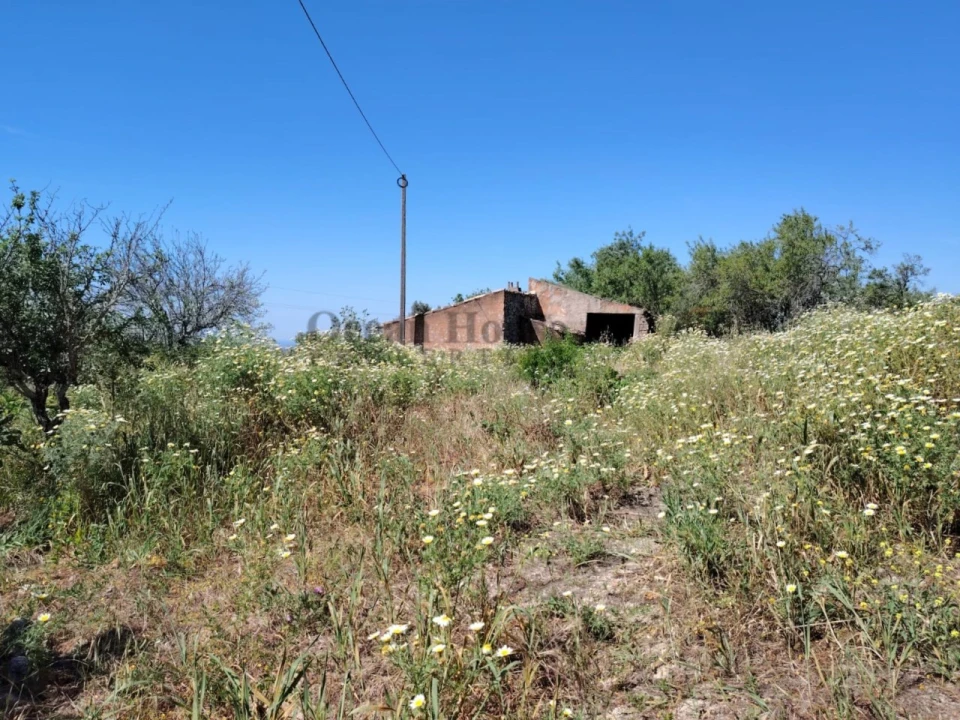 Terreno para Venda em Loule (São Clemente) Foto 1