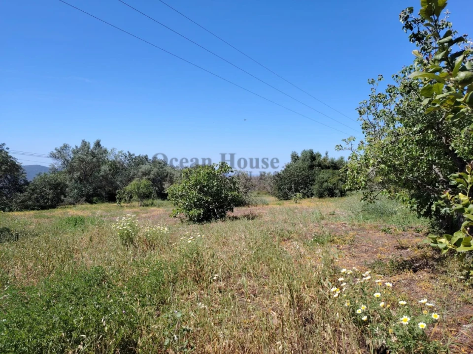 Terreno para Venda em Loule (São Clemente) Foto 7