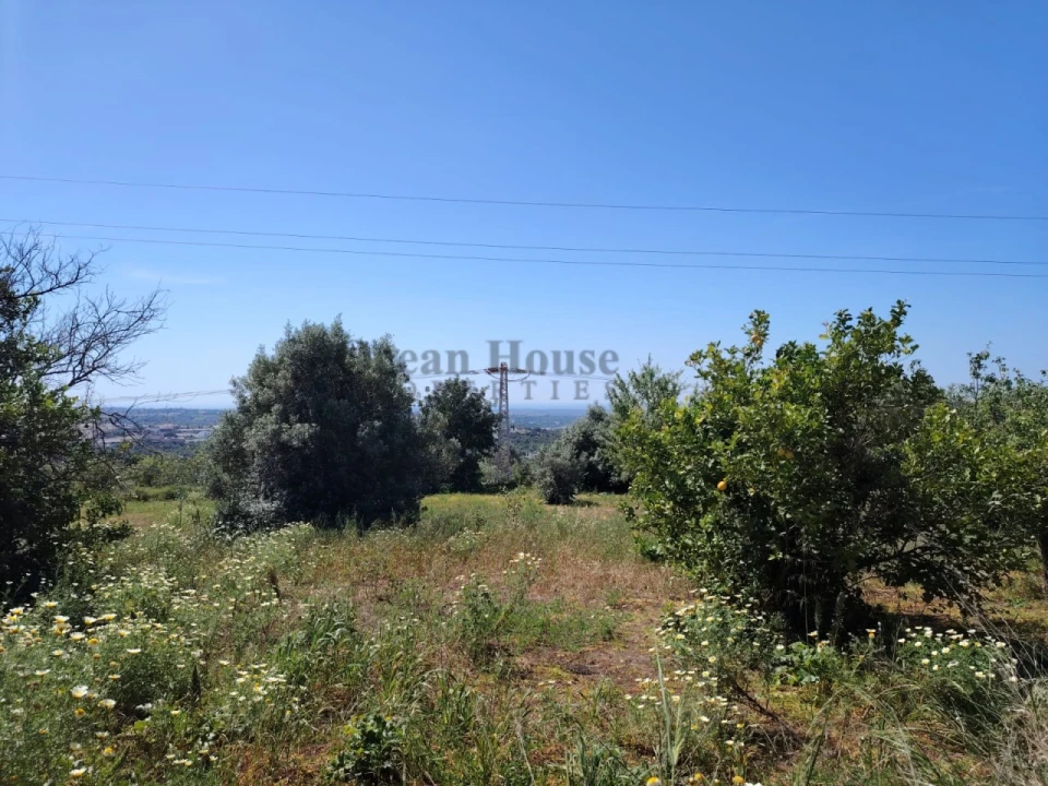 Terreno para Venda em Loule (São Clemente) Foto 8