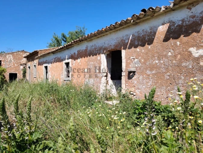 Terreno para Venda em Loule (São Clemente) Foto 4