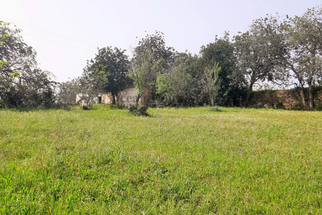 Terreno para Venda em Paderne Foto 4