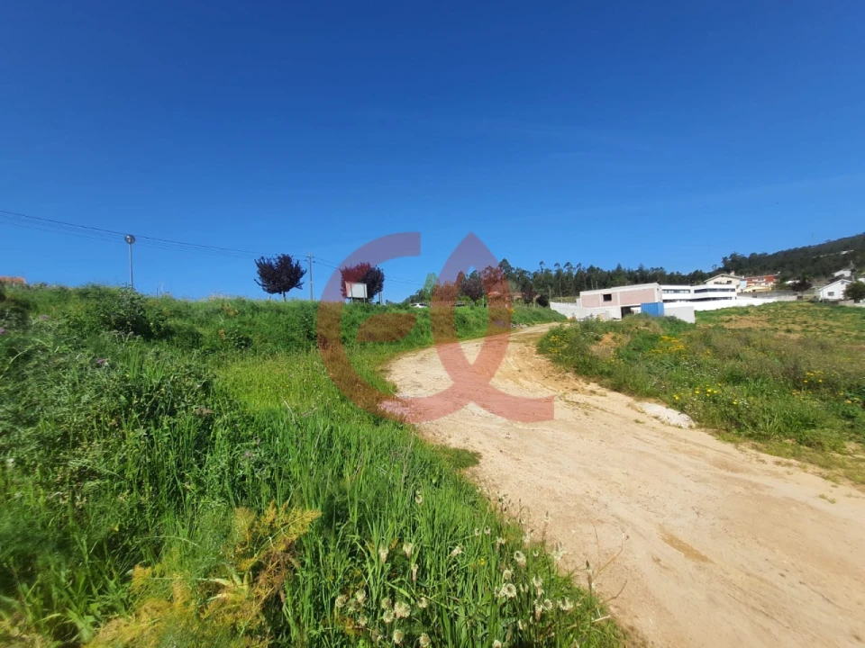 Terreno para Venda em Vila de Punhe Foto 5